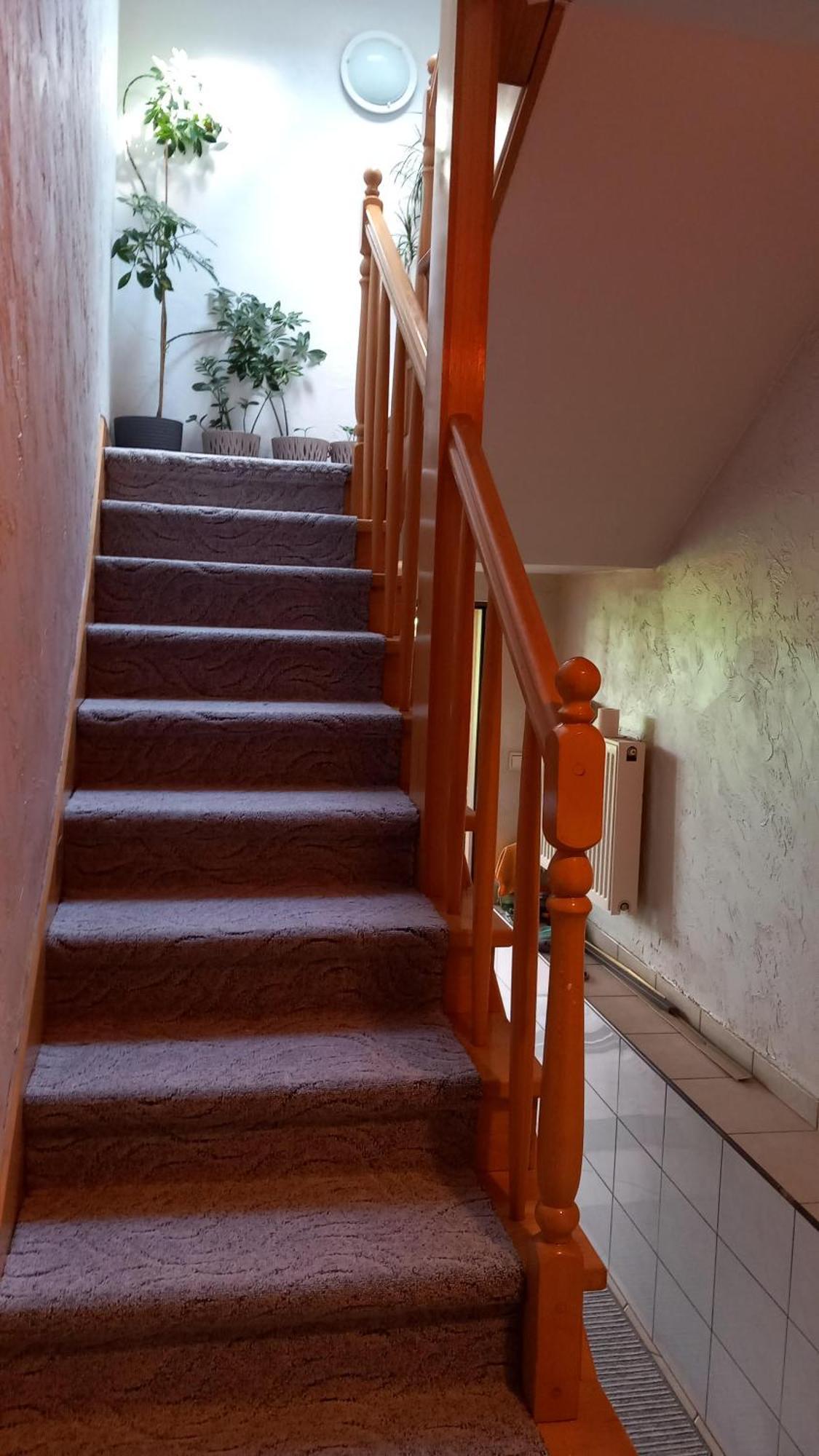 Apartamento Zielone Zacisze Zagnansk Exterior foto