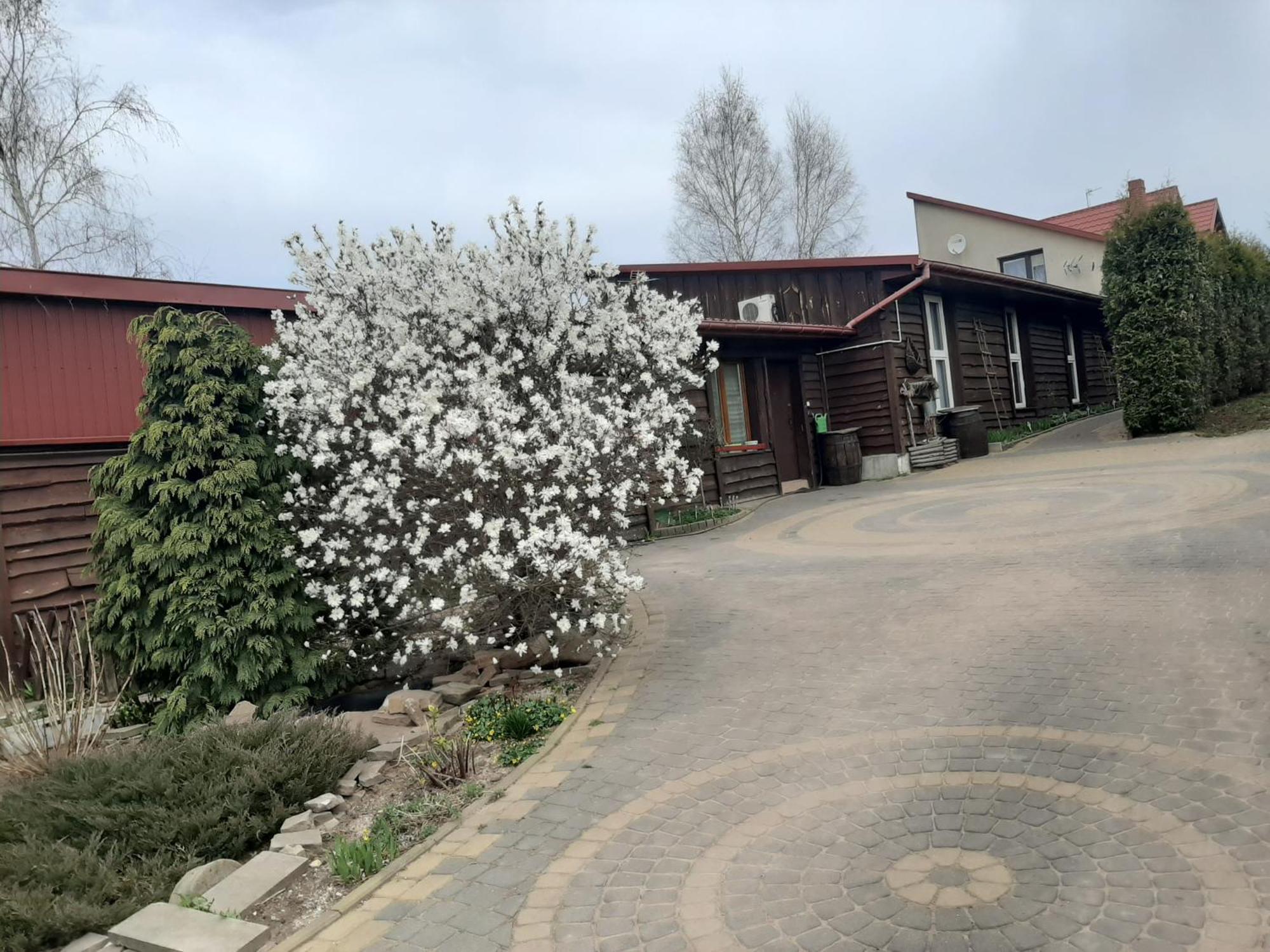 Apartamento Zielone Zacisze Zagnansk Exterior foto